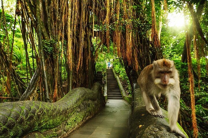 Mono en pasarela de piedra en Bali.