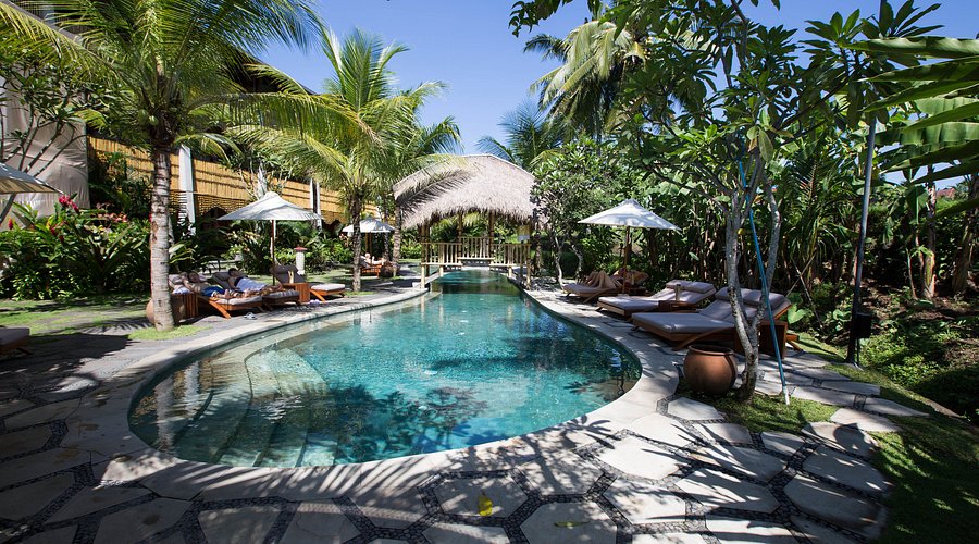 Vista de la piscina del hotel Alaya Resort